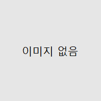이미지 없음